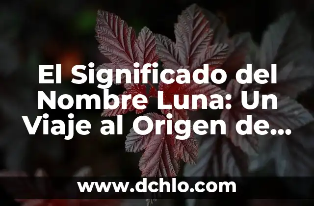 Significado y Concepto de Actitudinales 8 El Significado del Nombre Luna: Un Viaje al Origen de la Luz Nocturna
