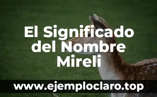 El Significado del Nombre Mireli