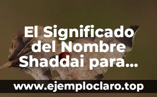 Significados de Nombres de Niñas Bíblicos 4 El Significado del Nombre Shaddai para Niñas