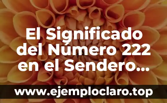 El Significado del Número 222 en el Sendero de Luz
