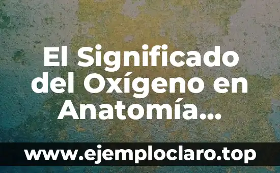 Excretar - Un Viaje al Corazón de la Fisiología Humana 3 El Significado del Oxígeno en Anatomía Humana