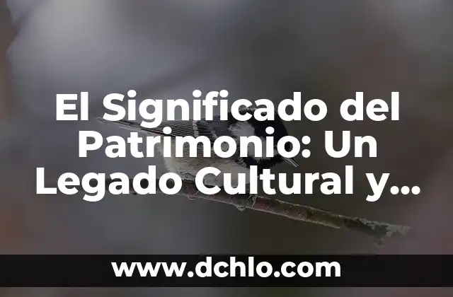 Descubre la flora más significativa de Jalisco: Un viaje a través de su patrimonio natural 8 El Significado del Patrimonio: Un Legado Cultural y Natural