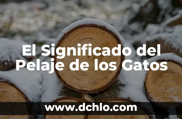 Nombres de Niña Significado Ximena 6 El Significado del Pelaje de los Gatos