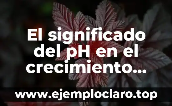C贸mo hacer ph 7 El significado del pH en el crecimiento vegetal