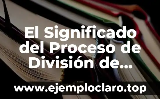 Significado del Logo de Coca-Cola: Un Icono de la Historia Empresarial 3 El Significado del Proceso de División de Terrenos