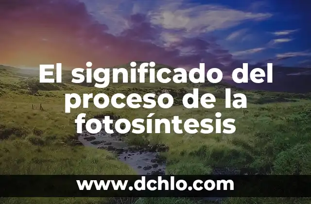 Significado de Procuración de Justicia en PDF 4 El significado del proceso de la fotosíntesis