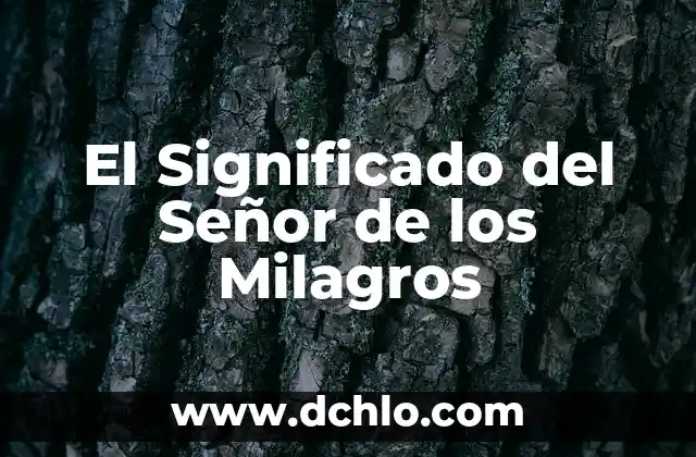 Milagros de Nuestra Señora: Un Misterio de Fe 4 El Significado del Señor de los Milagros