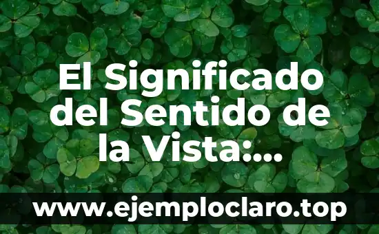 El Significado del Sentido de la Vista: Descubriendo su Importancia