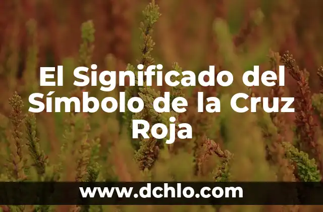 Tatuje Cruz de San Benito Significado 6 El Significado del Símbolo de la Cruz Roja