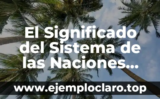 El Significado del Sistema de las Naciones Unidas