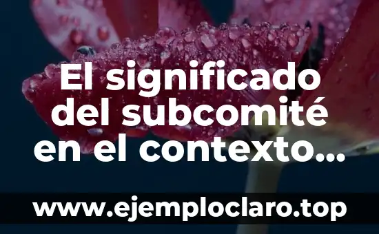 El significado del subcomité en el contexto de las obras públicas