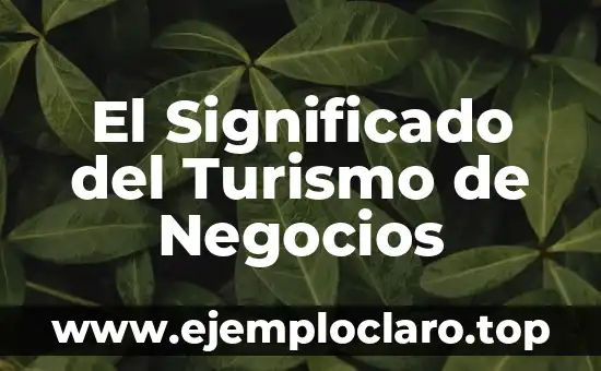 El Significado del Turismo de Negocios