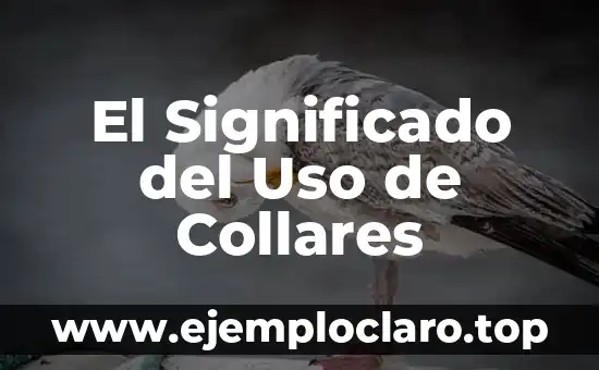 El Significado del Uso de Collares