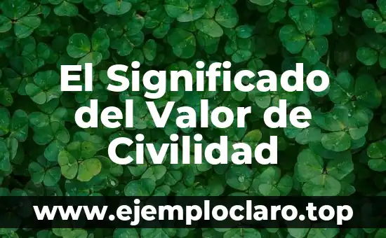 El Significado del Valor de Civilidad