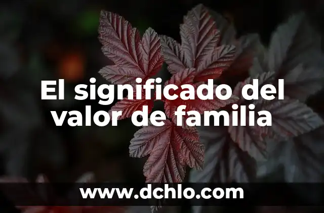 Significado del Valor de Empeño: Una Guía Completa 8 El significado del valor de familia