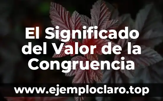 El Significado del Valor de la Congruencia