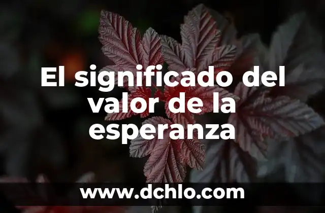 Nombres con Significado de Santo 8 El significado del valor de la esperanza