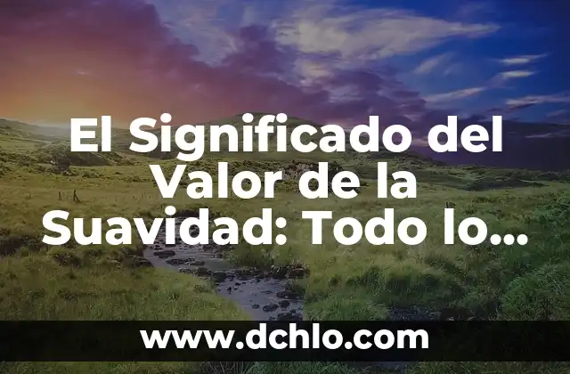 Investigar el significado de burbuja 8 El Significado del Valor de la Suavidad: Todo lo que Necesitas Saber