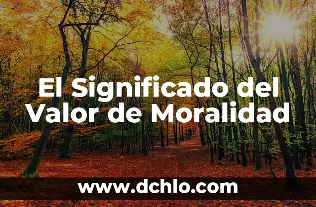 El significado del valor de la orientación 7 El Significado del Valor de Moralidad