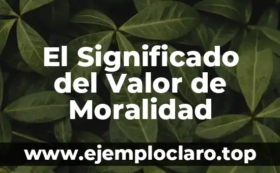 El Significado del Valor de Moralidad