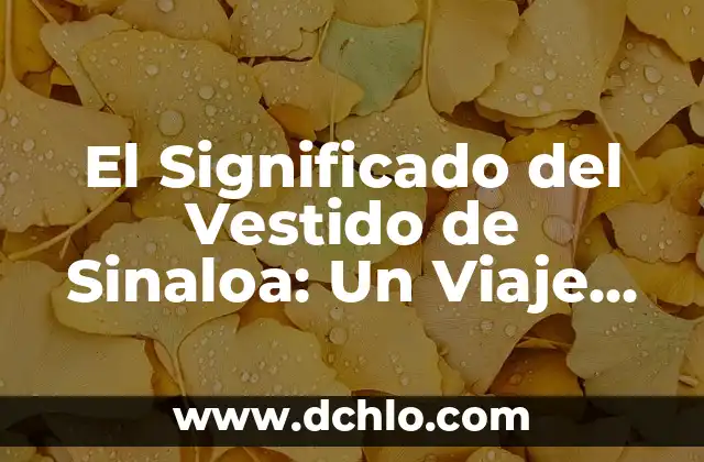 Idioma de Tokio y significado: Un viaje cultural 4 El Significado del Vestido de Sinaloa: Un Viaje Cultural