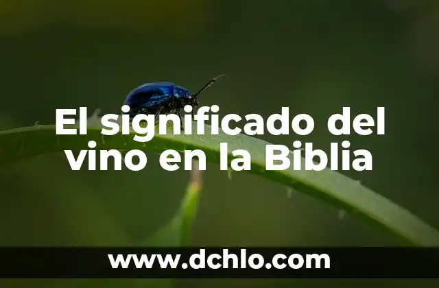 El significado del vino en griego 4 El significado del vino en la Biblia