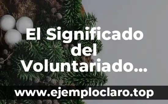 Instrumentos de Danza Cristiana: Un Enfoque Profundo en su Significado 8 El Significado del Voluntariado Juvenil: Un Enfoque en el Compromiso Social de los Adolescentes