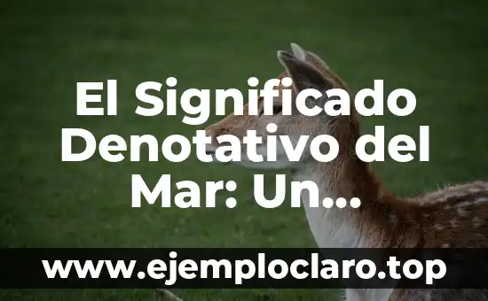 Estrellas de Mar Sueños Significado 8 El Significado Denotativo del Mar: Un Análisis Detallado