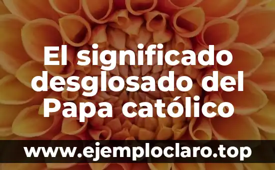El significado desglosado del Papa católico