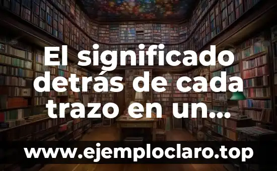 Clases de verdad y su significado 4 El significado detrás de cada trazo en un boceto