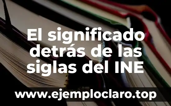 El significado detrás de las siglas del INE