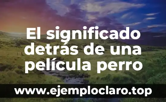 El Significado del Pensamiento Divergente: Guía Completa 7 El significado detrás de una película perro
