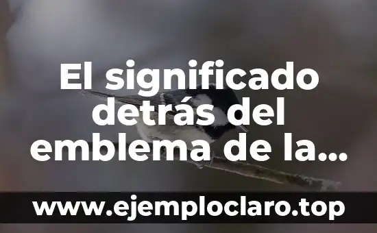 Significado del Logo de Coca-Cola: Un Icono de la Historia Empresarial 5 El significado detrás del emblema de la Roma