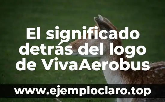 El significado detrás del logo de VivaAerobus