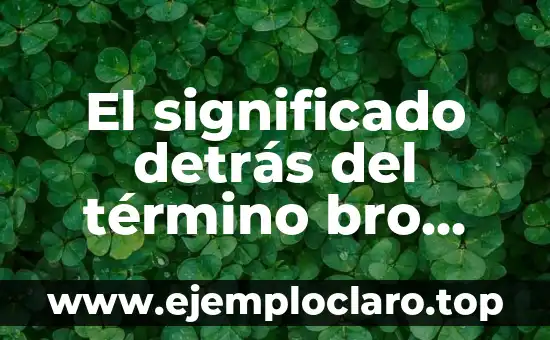 Sacame de aquí, Bunbury: Un viaje al significado detrás de la frase 3 El significado detrás del término bro coba