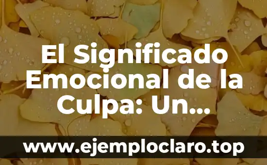 El Significado Emocional de la Culpa: Un Análisis Profundo