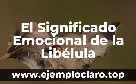 El Significado Emocional de la Libélula