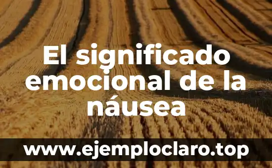 El significado emocional de la náusea