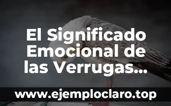 El Significado Emocional de las Verrugas Perrillas