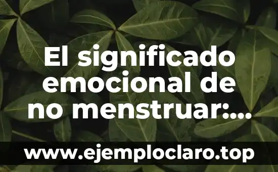Significado de Subnacional - Comprensión Básica 6 El significado emocional de no menstruar: Un viaje hacia la comprensión