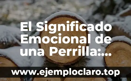 El Significado Emocional de una Perrilla: Más que un Animal de Compañía