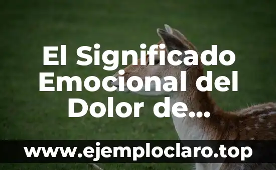 El Significado Emocional del Dolor de Columna