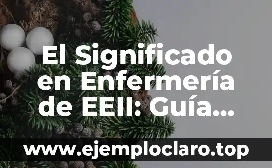 Intervenciones de enfermería NIC significado 5 El Significado en Enfermería de EEII: Guía Completa