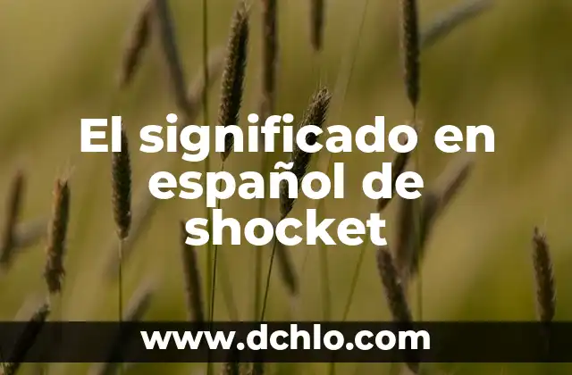 Shaping en español, el arte de la formación y el modelado 8 El significado en español de shocket