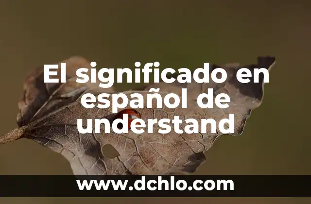 Restos de Vela Negra: Descubre su Significado Esotérico 7 El significado en español de understand