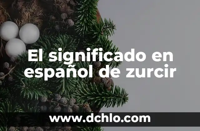Flor de la Paciencia Significado 6 El significado en español de zurcir