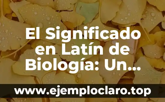 El significado en latín de 'bulla': Un viaje al origen de la palabra 5 El Significado en Latín de Biología: Un Viaje a las Raíces del Conocimiento
