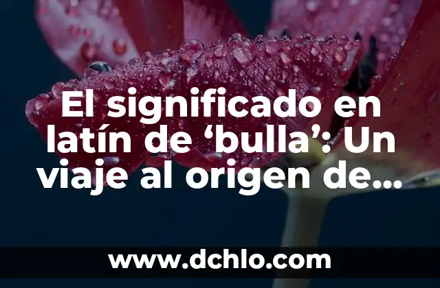 Cual es el significado de mandilon 7 El significado en latín de ‘bulla’: Un viaje al origen de la palabra