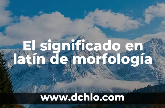 Estudios de Laboratorio Parciales: Descubriendo su Significado 4 El significado en latín de morfología