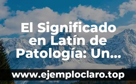 El Significado en Latín de Patología: Un Viaje a sus Raíces Etimológicas